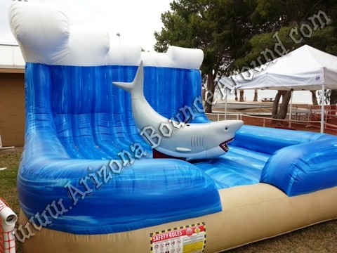 Where can i rent a mechanical shark in Arizona